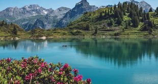 Best Lakes to Visit in Switzerland for a Scenic Vacation