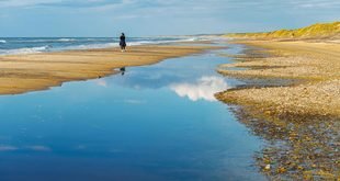 Best Places to Visit in Skagen Denmark for Nature Lovers