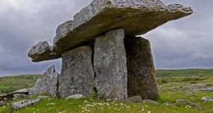 Best National Parks to Visit in Ireland for Nature Lovers