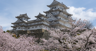 How to Choose the Right Season for a Japan Vacation