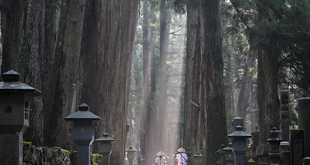 A Practical Guide to Visiting Hakone for Nature and Relaxation