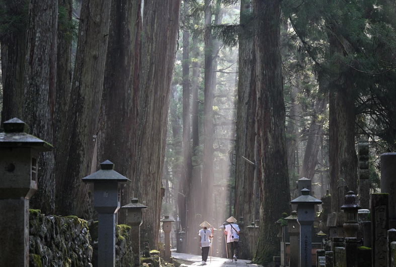 A Practical Guide to Visiting Hakone for Nature and Relaxation