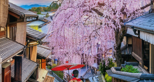 How to Experience Japan’s Mountain Towns and Rural Landscapes