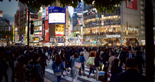 What Makes Hokkaido Different From Other Japanese Destinations